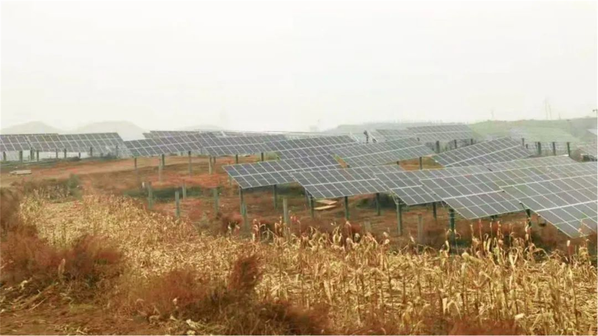 Hebei Zanhuang -250MW Photovoltaic Power Plant Power Generation Project
